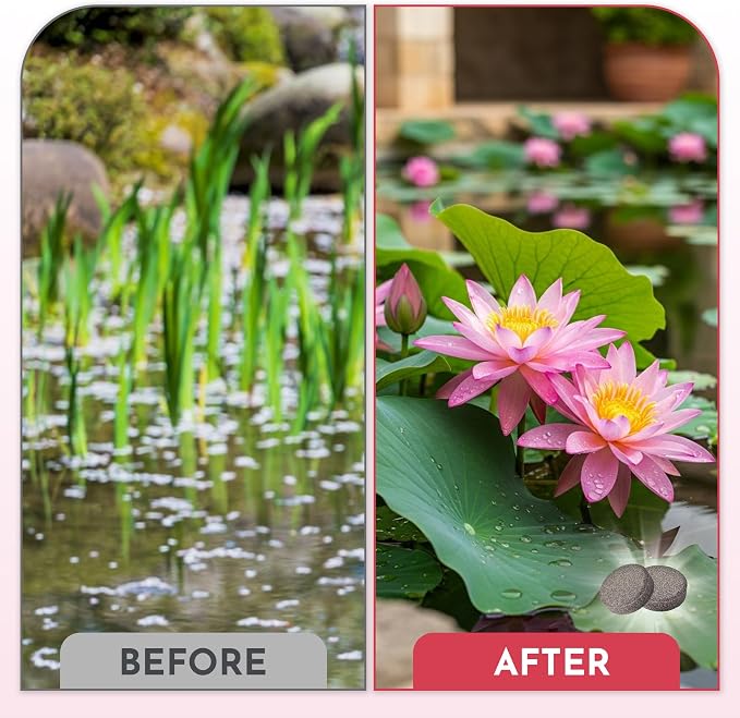 Aquatic Plant Fertilizer for Water Lily and Lotus,Water Lily Fertilizer Tablets-Fish Friendly,Lotus Fertilizer- Supports Lily and Lotus Blooming & Root Growth,Pond Plant Fertilizer-100 Tablets