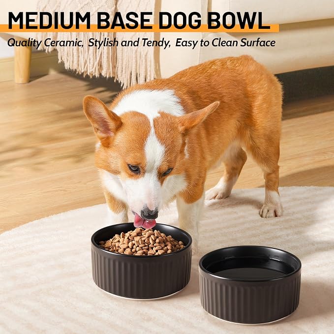 Non-Slip Ceramic Dog Bowls,6" Dog Food and Water Bowl Set with Silicone Base, 32oz/4cups Weighted Flip-Proof Pet Feeding Bowl for Medium Dogs (Medium,Black)