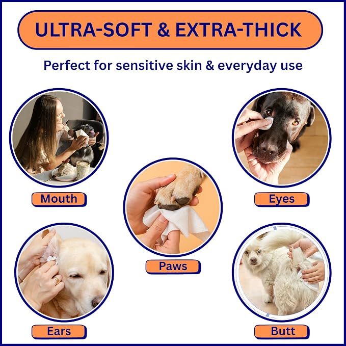 Aurora Pet Wipes – 100% Natural, Plant-Based Hypoallergenic Grooming Wipes for Dogs & Cats – Extra-Durable, Large & Thick for Effortless Cleaning (Combo, 200 Count)
