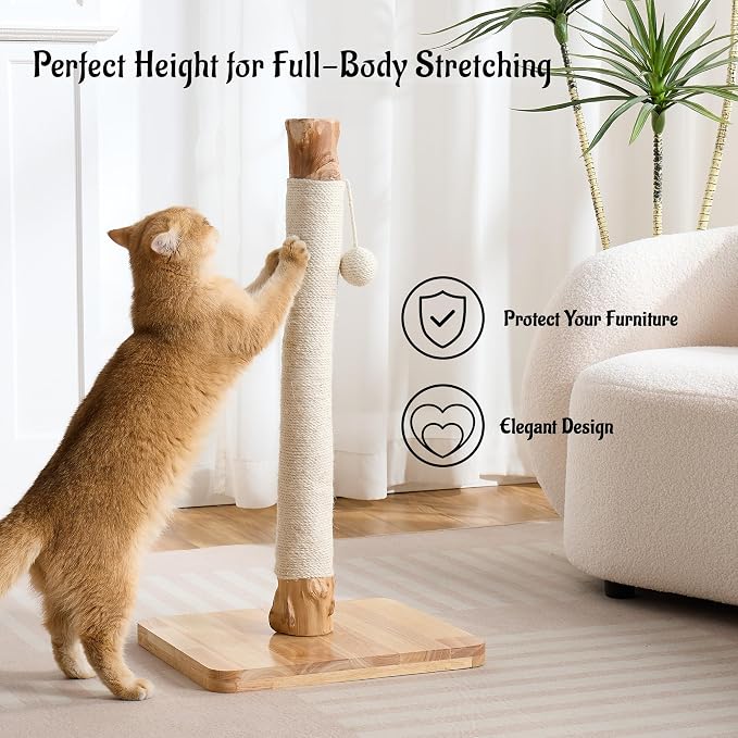 29" Tall Solid Wood Cat Scratching Post for Indoor Cats, Extra Stable Heavy Base, Natural Sisal Scratcher with Hanging Ball, Furniture Protector for Kittens & Adult Cats, White