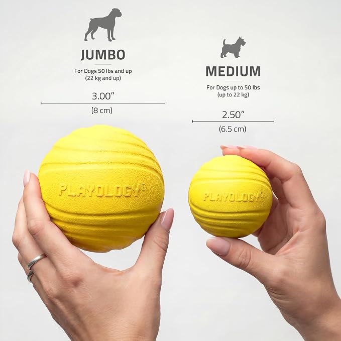 Playology Dog Toys | Dual Layer Ball Durable Chew Toy for Tough Chewers | Chicken Scented Medium Dog Toy | Chew Toys for Dogs