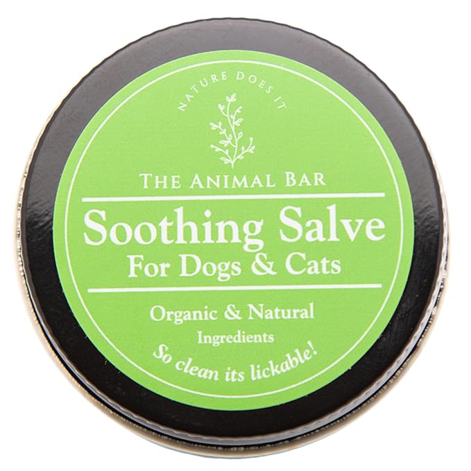Organic Soothing Salve for Dogs & Cats - Lick-Safe First Aid Wound Care & Skin Healing with Beeswax & Calendula for Cracked Paws, Noses, Hot Spots, Itchy Skin & Minor Wounds - 2oz