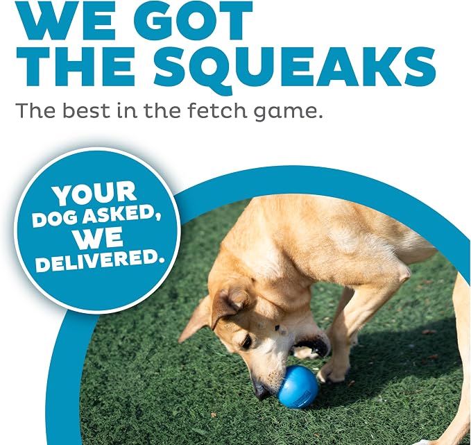 Outward Hound by Planet Dog Squeak Ball Bouncy Fetch Dog Toy, Blue