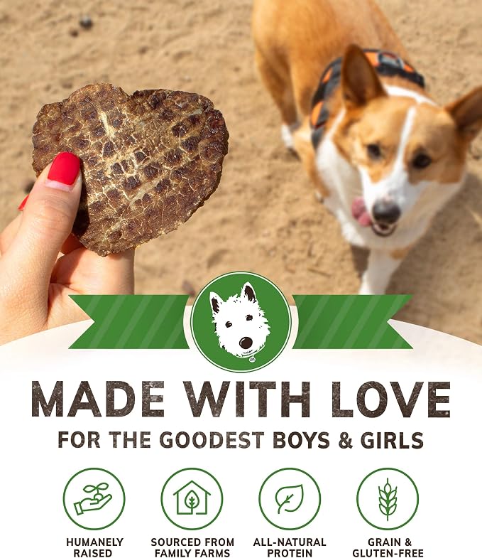 Wiley's Beef Jerky Pet Treats | Grain Free Dog Treats Made in USA | All Natural Snacks for Dogs | (Beef, 16 oz. Bag)