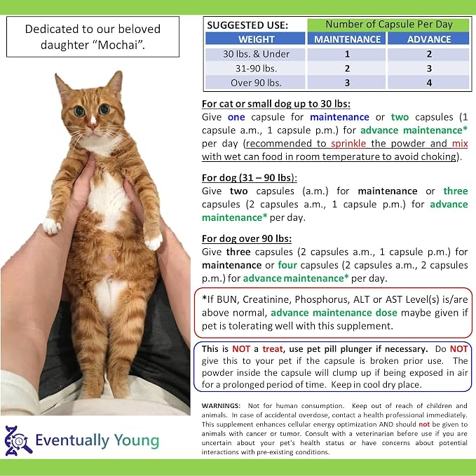 𝗘𝘃𝗲𝗻𝘁𝘂𝗮𝗹𝗹𝘆 𝗬𝗼𝘂𝗻𝗴 Cat Kidney Support for Dog & Cat with NMN & Fisetin - Super Phosphate Binder Kidney and Liver Supplement for Feline, Canine Healthy Aging & Longevity NAD+ (30 Caps)
