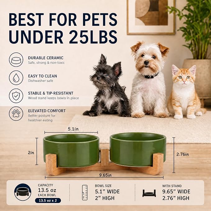 Petygooing Ceramic Dog Cat Bowl Set with Stand, Pet Food and Water Dishes,Medium Pet Bowl Anti -Slip Set of 2 Cat Dish-Pet Food Bowls Small Medium Size Dog (28OZ/6.1 in) Rust Green