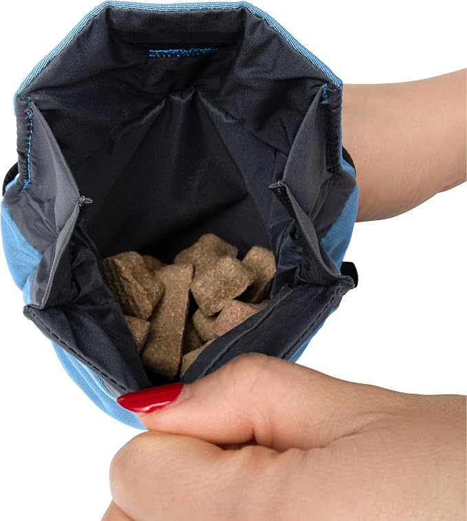 Snack Sack – Magnetic Quick-Access Treat Pouch with Wipeable Liner & Strap Attachment for Training, Walks & Rewards (Coast)