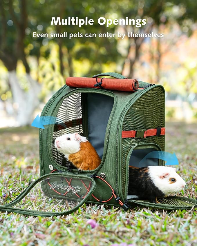 Pecute Small Pet Carrier, Breathable Bearded Dragon Carrier, with Transparent Bubble & Steel Frame, Safety Lock for Hamster, Rabbit, Guinea Pig, Kitten, Puppy, Ideal for Travel/Vet Visits/Camp, Green