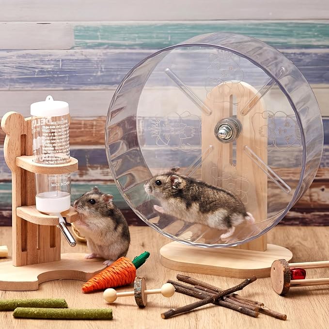 Silent Transparent Hamster Wheel with Cork Lining, 9.5 Inch Quiet Exercise Wheel for Dwarf Syrian Hamsters, Gerbils, Stable Small Animal Spinner Cage Accessories with Water Bottle Stand(M)