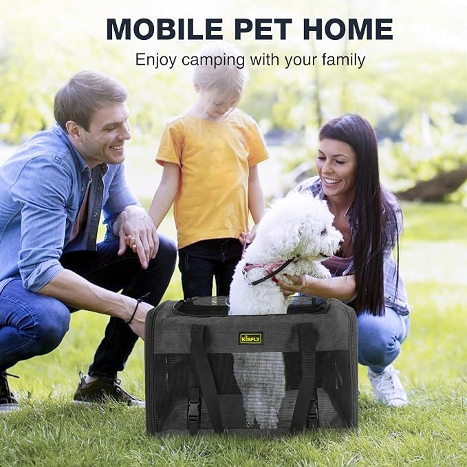 Small Dog Carrier for Puppies, Rabbits, Cat Carrier Soft, Foldable Travel Bag, Fits Pets up to 25lbs, Car Seat Belt Compatible, Ideal for Car Road Trips, Anti-Scratch Mesh, 20x13x13 in, Black