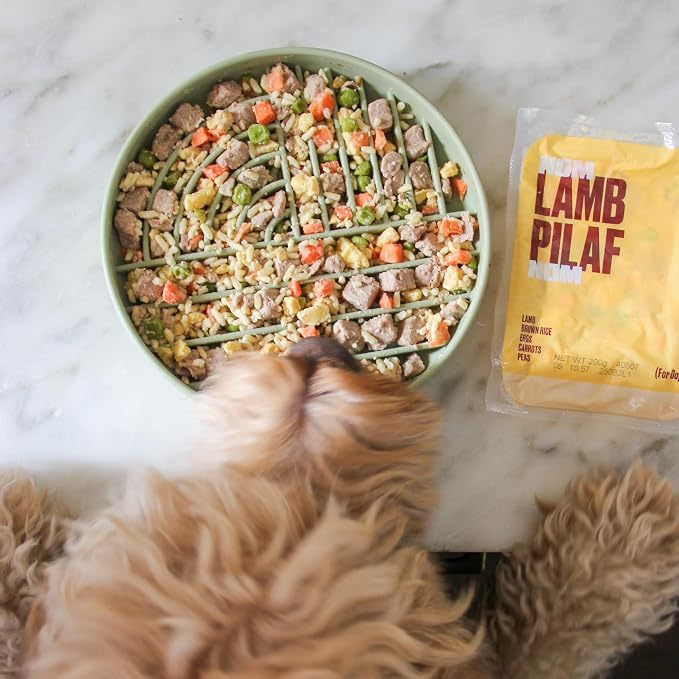 Slow-Feeder & Water Bowl Set by The Dog Tale | Food-Grade Silicone Dog Bowls, BPA-Free, Dishwasher Safe, Freezer Safe (Sherbet)
