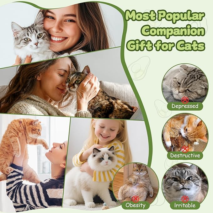 Hanging cat Toys