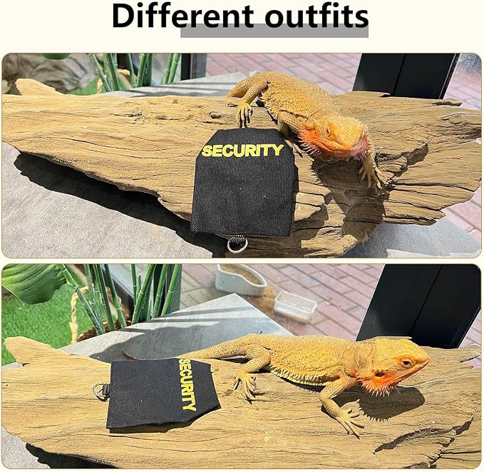 Bearded Dragon Carrier Backpack with Security Printing Harness Leash Set, Reptile Lizard Space Capsule Astronaut Clear Bubble Window Travel Carrier for Small Animal Guinea Pig(Black, Security Harness)