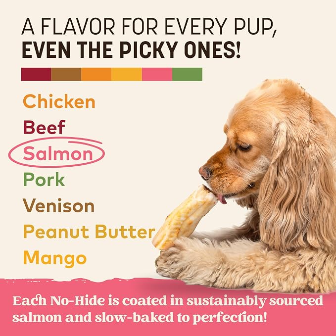 Earth Animal No Hide Chews - Long Lasting Rawhide Free Small Dog Chews Rolls, Salmon - 6 Count