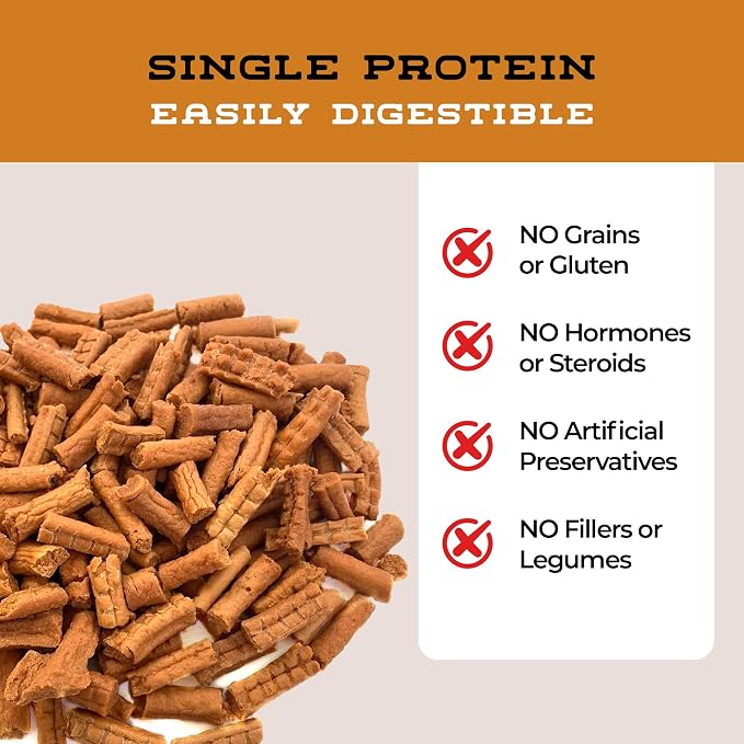 Salmon Bakes Grain Free Natural Dog Treats for Small to Large Breed - Low Calorie for Training - High Value, Healthy Dog Treats for Small, Medium & Large Dogs (8oz)