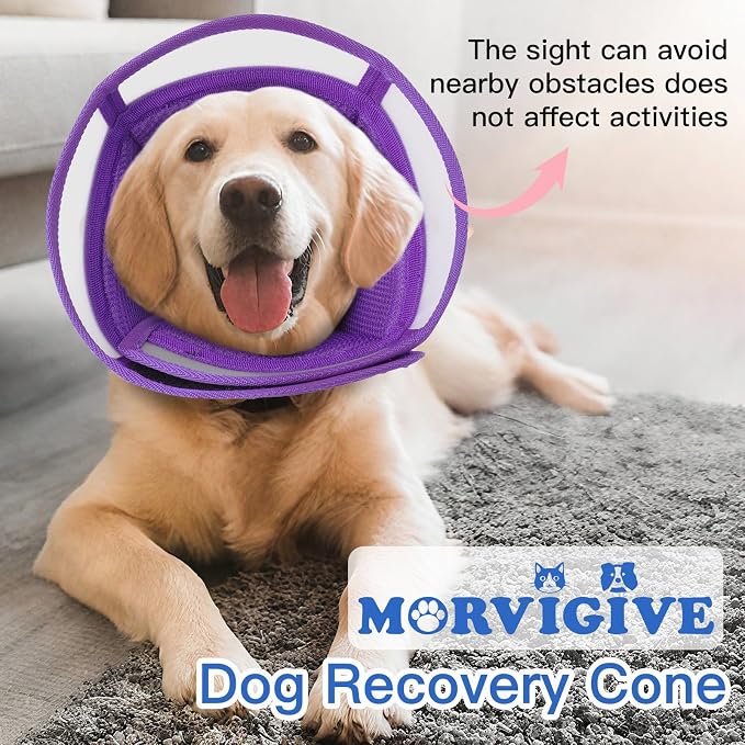 Soft Cone for Large Dogs to Stop Licking - Adjustable Recovery E-Collar for After Surgery, Neuter & Wound Protection,Lightweight Breathable Pet Elizabethan Collar to Prevent Biting (Purple, XL)