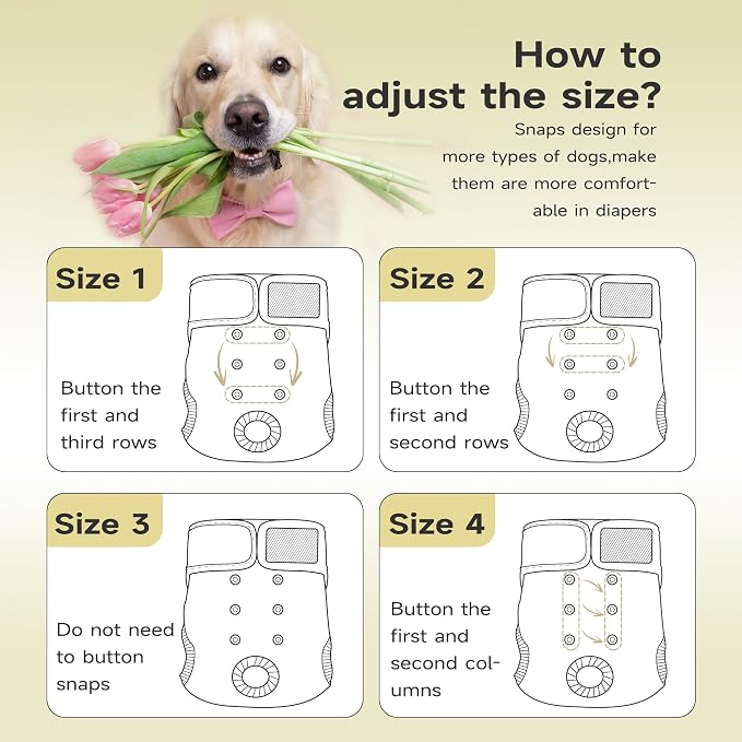Paw Legend Washable Reusable Female Dog Period Diapers for Heat Doggie Puppy Diapers for Female Dogs (3 Pack, Small)