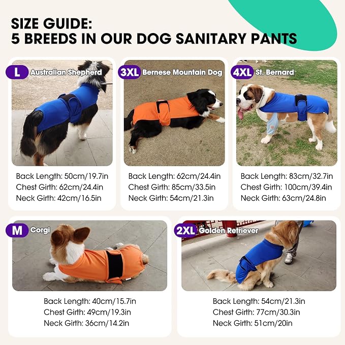 Dog Diapers for Female Dogs, Washable Reusable Female Dog Diapers, Leak Proof Doggie Underwear Sanitary Pants for Heat Cycle, Incontinence and Puppy Training, Adjustable Belly Bands - Blue M