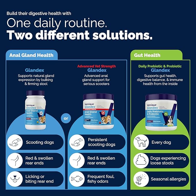 Vetnique Glandex for Dogs Anal Gland Powder, Support for Scooting & Fishy Odor, Boot The Scoot Fiber Supplement, Pumpkin Powder & Probiotics for Dogs with Digestive Enzymes (Salmon, 2.5oz Powder)