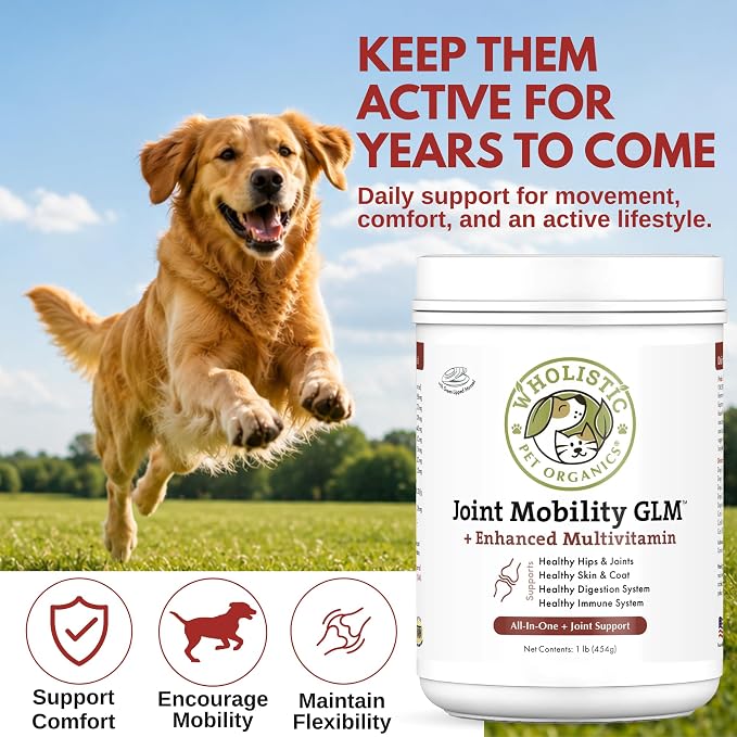 Wholistic Pet Organics - Hip and Joint Supplement for Dogs & Cats - Cat and Dog Joint Supplement - Green Lipped Mussels, Chondroitin, Glucosamine for Dogs & Cat Mobility Support - 1 Lb - 45 Scoops