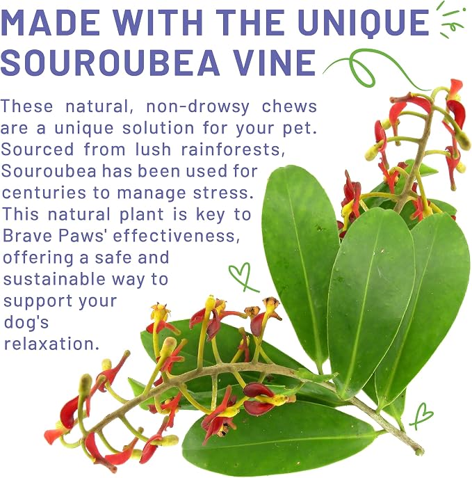 Brave Paws Calming Chews for Dogs - Plant-Based Dog Calming Chews for Anxiety Relief Support with Souroubea - Helps with Dog Separation Anxiety, Stress, Travel & Loud Noises (Fireworks, Thunder)