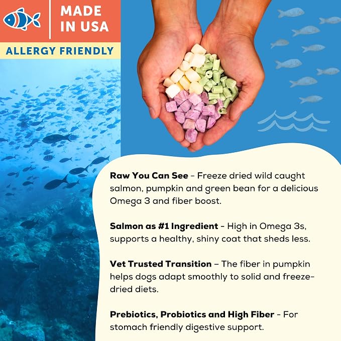 A Better Treat | Allergy Friendly Ocean Blend Dry Dog Food | Raw You Can See | No Chicken, No Grain, No Meal Ingredients | Fish Only Animal Protein |Stomach Soothing Kibble + Freeze Dried Raw Dog Food
