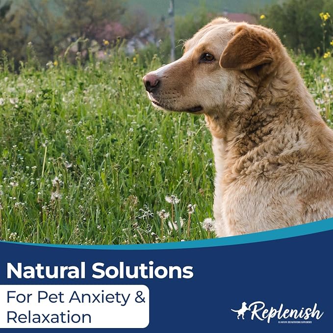 Replenish Hemp Calming Chews for Dogs - Pet Calming Chews – Can Help Relieve Stress from Separation, Storms, Fireworks & Travel – Calming Treats for Cats Stress Support – 60 Count