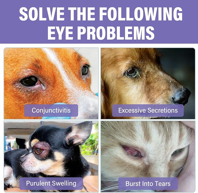 Dog Eye Drops, Premium Eye Drops for Dogs to Flush & Soothe, Advanced Dog Eye Wash for Daily Care & Tear Stain Prevention, Effective Dog Eye Infection Treatment, 10ml/2 Bottles