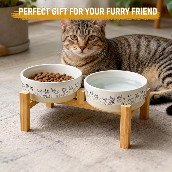 Ceramic Cat Bowls，6.1inch Raised Cat Bowls with Cute Pattern for Small and Medium Breed Dogs,2 Pack Cats Food and Water Bowl Set,Weighted Pet Dishes Dishwasher Safe