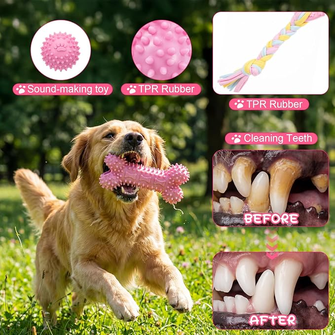 Leitee 14 Pcs Puppy Toys for Teething Dog Chew Toys for Small Dogs Soft Interactive Squeaky Plush Balls Doggy Teeth Tug of War and Rope for Small Dogs Puppy (Classic,Pink)