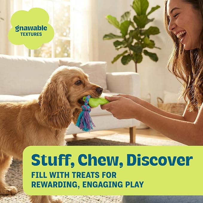 Bone Mini Dog Chew Toy & Treat Stuffer for Teething Puppies & Small Dogs up to 20 lbs, Bounces & Floats, Textured for Dental Support, Moderate Chewers, 5.5" (Pack of 4)