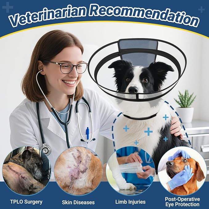 Dog Cone to Stop Licking, Clear Recovery Collar with Detachable Zipper, Sturdy Elizabethan Collar for Large Medium Small Dogs, Soft Adjustable Cone After Surgery Patented, Black S