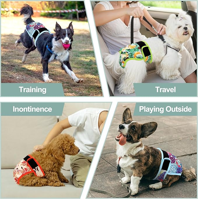 Washable Female Dog Diapers - Premium Reusable Diapers for Doggie in Heat - Highly Absorbent Dog Diapers Female for Pet Incontinence with Adjustable Snaps (Succulents，S)
