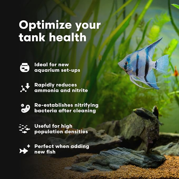 Brightwell Aquatics MicroBacter Start XLF Freshwater Tank Starter, 250 ml