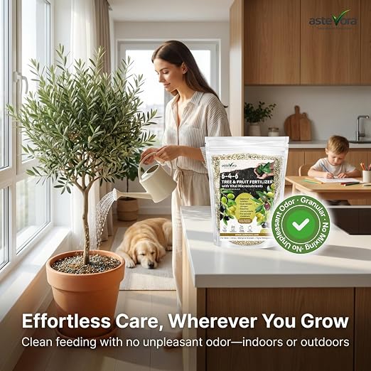Olive Tree Fertilizer – Fruit Tree Fertilizer for Olive Tree, Citrus, Lemon, Lime, Fig, Avocado, Mango, Apple & Pomegranate – for Potted & Outdoor Trees (5 quarts - 10 lbs.)