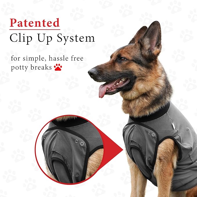 BellyGuard Dog Surgery Recovery Suit, Post-Op Dog Recovery Suit for Female Spay & Male Neuter, Comfy Onesie for Pets, Surgical Body Cover for Canine Healing Support