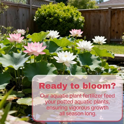 Aquatic Plant Fertilizer for Water Lily and Lotus, Lotus Fertilizer-Fish Friendly, Water Lily Fertilizer Tablets- Supports Lily and Lotus Blooming & Root Growth, Aquarium Plant Food-100 Tablets