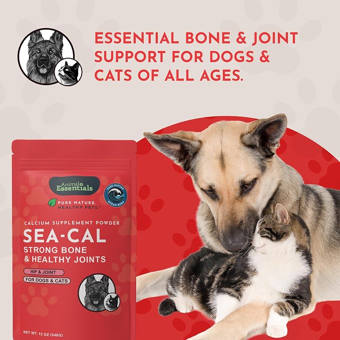Animal Essentials Sea-Cal - Pure Seaweed Calcium Powder for Dogs with Magnesium, Joint Supplement for Dogs & Cats for Healthy Bones & Teeth, Joint Health, Vegan Icelandic Seaweed Calcium - 12 oz