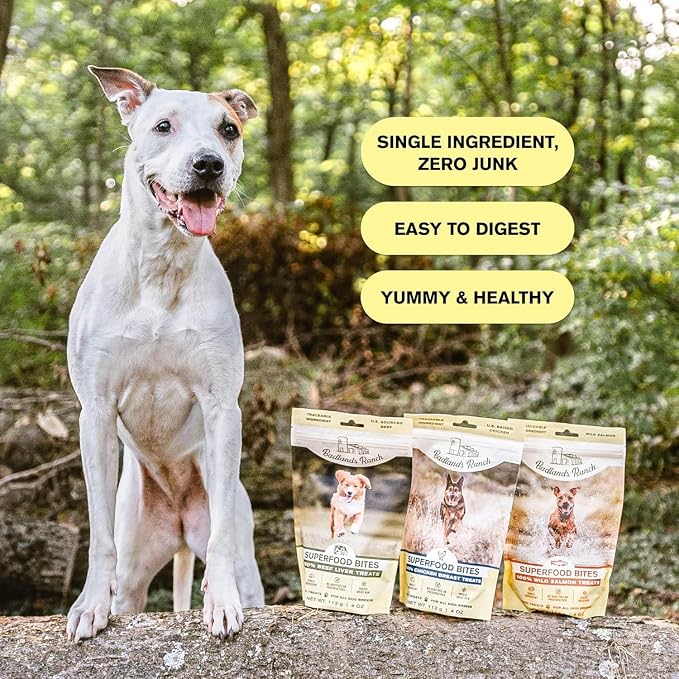 BADLANDS RANCH by Katherine Heigl – Superfood Bite Freeze-Dried Raw Chicken Breast Dog Treats – High Protein Single-Ingredient Snacks for Training, Rewards & Daily Wellness – 4 oz (Pack of 4)