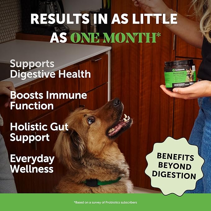 6 Billion CFU Dog Probiotics with Prebiotics, Digestive Enzymes, & Fiber - Relief for Occasional Diarrhea, Gas, Bloating & Itchy Skin - Daily Gut Health & Immune Support for All Dogs (Pumpkin, 90 ct)