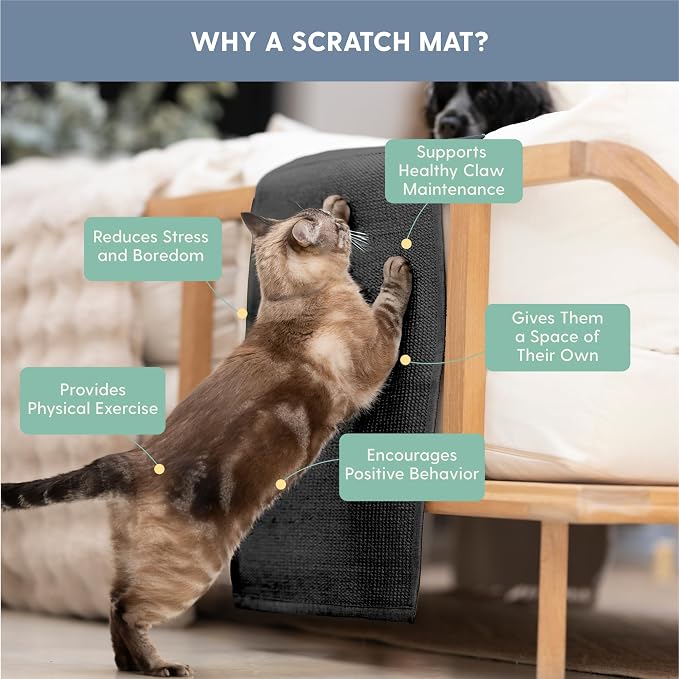 The Cat Ladies Cat Scratch Furniture Protector Mat - Couch Protector from Claws - Anti Scratch Furniture Protectors from Cats Scratching - Sisal Scratcher Pad with Pocket - Dark Grey