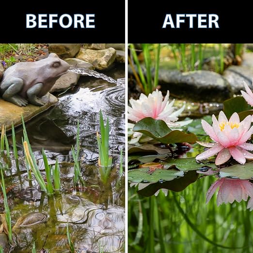 CrystalClear Thrive Aquatic Pond Plant Food, Fish Safe Water Garden Fertilizer, Nutrients Boost Lily & Lotus Flower Bloom & Root Growth, 30 Tablets