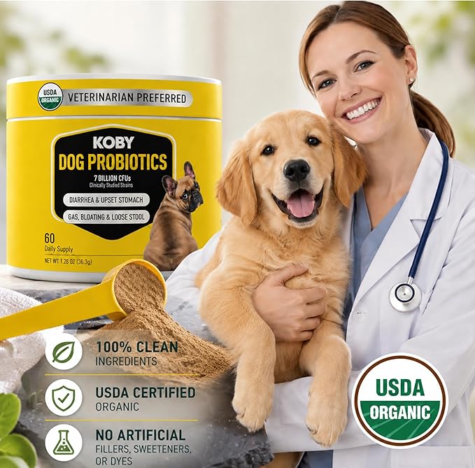 Koby Dog Probiotic Powder, 7B CFU with 8 Strains for Diarrhea, Sensitive Stomach & Gut Health, USDA Organic, Vet Developed, Bone Broth, 60 Scoops