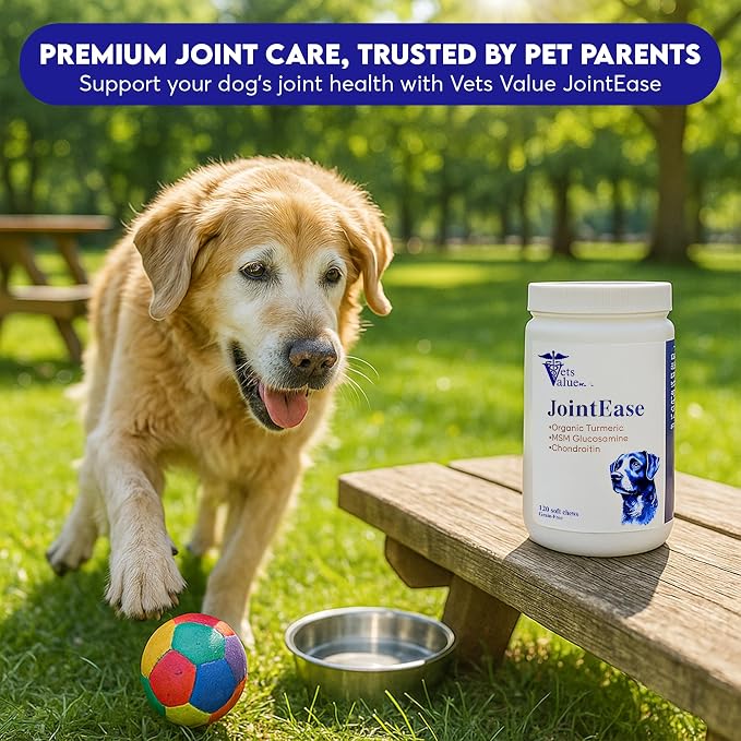 Joint Support for Dog with Glucosamine, Chondroitin & MSM - Daily Supplement That Helps Support Healthy Joints and Mobility - 120 Count