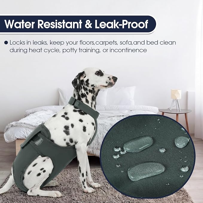 IECOii Washable Dog Diapers Female with Suspenders,Escape-Proof Dog Period Diaper for Heat, Incontinence & Potty Training, Leakproof Underwear Sanitary Pants for Senior Dog, Adjustable Hook & Loop, M