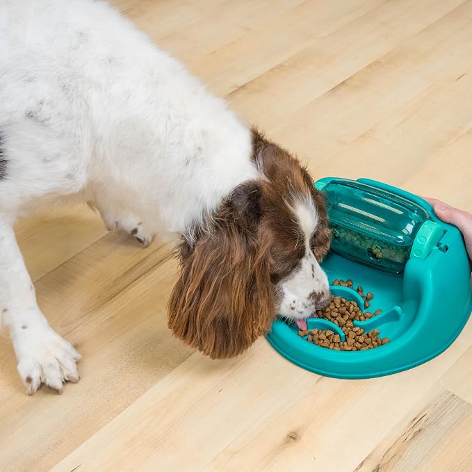 Outward Hound by Nina Ottosson Spin N' Eat Dog Puzzle and Slow Feeder, Level 2 Intermediate Enrichment Toy, Green