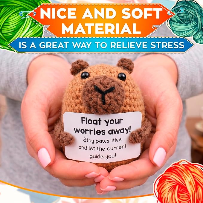 Reluen Crochet Capybara, Float Your Worries Away Handmade Capybara Crochet Figurine with Affirmation Message Card, Desk Decor Gift for Women Men Mom Daughter Sister Coworker Birthday
