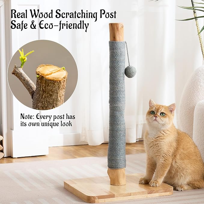 29" Tall Solid Wood Cat Scratching Post for Indoor Cats, Extra Stable Heavy Base, Natural Sisal Scratcher with Hanging Ball, Furniture Protector for Kittens & Adult Cats, Grey