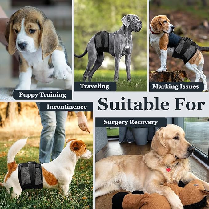 Dog Diapers Male – Reusable & Washable Belly Bands for Dogs, Breathable Air-Mesh Fabric, High Absorbing, for Doggie & Puppy in Incontinence or Excitable Urination and Training（XS）