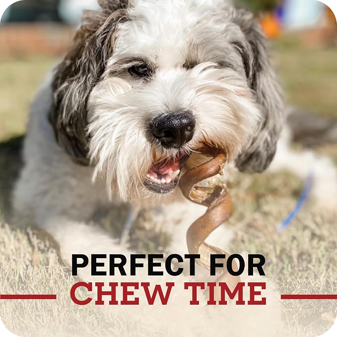 Redbarn Pet Products All-Natural 4" Bully Stick Rings for Dogs - Premium Grain-Free & Rawhide-Free Single Ingredient Long Lasting Low Odor Dental Treat for Chewers - 3 Count (Pack of 2)
